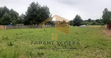 Parcela en Radvanicki sielski Saviet, Belarús
