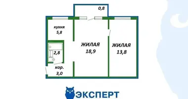 2 room apartment in Minsk, Belarus