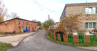Apartamento 2 habitaciones en Kryvaja Biaroza, Bielorrusia