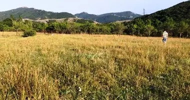 Участок земли в Кикети, Грузия