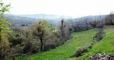 Terrain dans Zupci, Monténégro