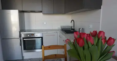 1 room apartment in Krakow, Poland