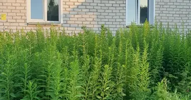 2 room apartment in Nieharelski sielski Saviet, Belarus
