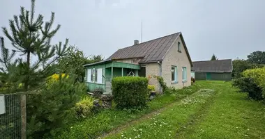 Haus in Preisiogalele, Litauen