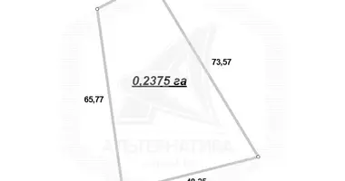 Plot of land in Muchaviecki sielski Saviet, Belarus