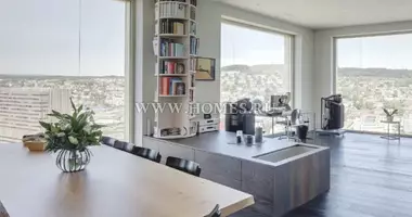 Penthouse 4 bedrooms with furniture, with air conditioning, with internet in Switzerland