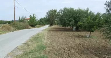 Plot of land in Mesimeri, Greece
