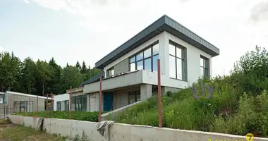 Haus in Ozyaritska Slabadski rural council, Belarus