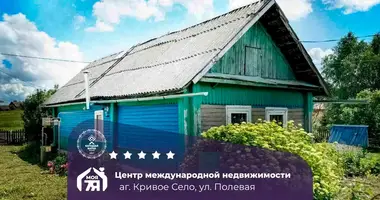 Haus in Kryvoe Salo, Belarus