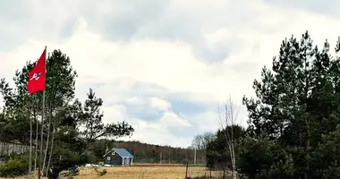 Plot of land in Gencai, Lithuania