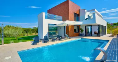 Villa 5 bedrooms in Visnjan, Croatia