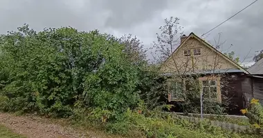 House in Piatryskauski sielski Saviet, Belarus