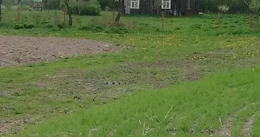 Grundstück in Dzitvianski sielski Saviet, Weißrussland