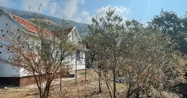1 bedroom house in Zankovici, Montenegro