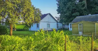 House in Kalodziscanski sielski Saviet, Belarus