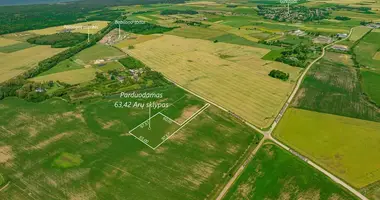 Plot of land in Bruzdeilynas, Lithuania