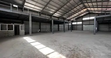 Warehouse 1 125 m² in Palaiometocho, Cyprus