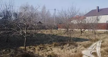 Grundstück in Muchaviecki sielski Saviet, Weißrussland