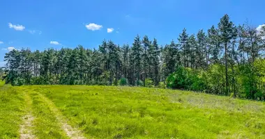 Plot of land in Babki, Poland