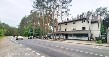 Restaurant 962 m² in Zhdanovichy, Belarus