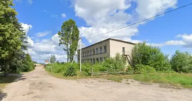 Commercial property 447 m² in Bajorai, Lithuania