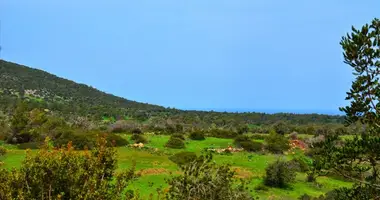 Plot of land in Polis Chrysochous, Cyprus