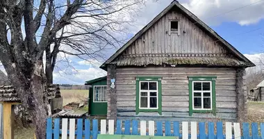 Dom w Kamienski sielski Saviet, Białoruś