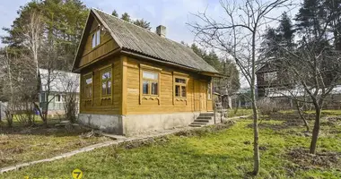 House in Radaskovicki sielski Saviet, Belarus