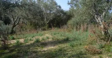 Plot of land in Kalami, Greece