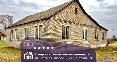 Haus in Staryja Navasiolki, Belarus