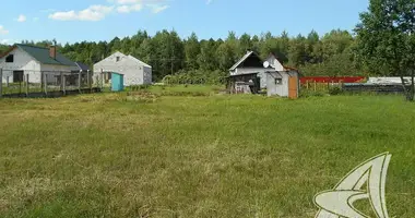 Maison dans Kamianica Zyravieckaja, Biélorussie