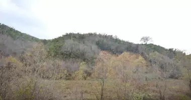 Terrain dans Pelinovo, Monténégro