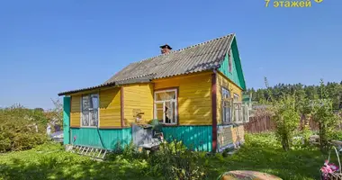 Haus in Zdanovicki siel ski Saviet, Weißrussland