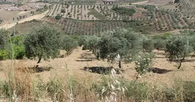 Parcela en Cianciana, Italia