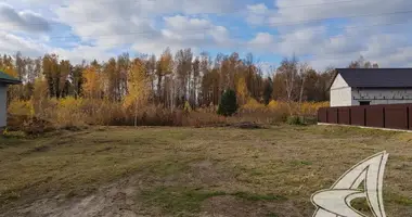 Plot of land in Muchaviecki sielski Saviet, Belarus