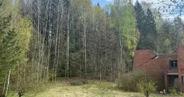 House in Kudrioniu Giria, Lithuania