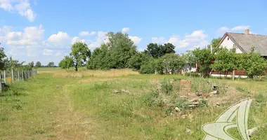 House in Rakitnicki sielski Saviet, Belarus