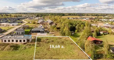 Plot of land in Rudiskes, Lithuania