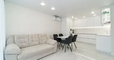 2 room apartment in Minsk, Belarus