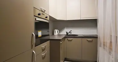 1 bedroom apartment with Furniture, with Wi-Fi, with Kitchen in Riga, Latvia