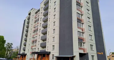 2 room apartment in Minsk, Belarus