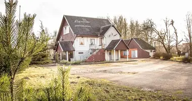 Commercial property 315 m² in Radviliskis, Lithuania