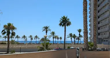 2 bedroom apartment in Alicante, Spain