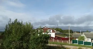 House in Radashkovichy, Belarus