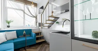 2 room apartment in Vilnius, Lithuania