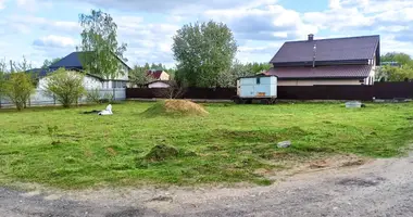 House in Lahojski sielski Saviet, Belarus