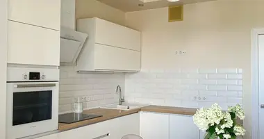 2 room apartment in Minsk, Belarus