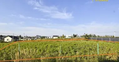 Дом в Заболотский сельский Совет, Беларусь