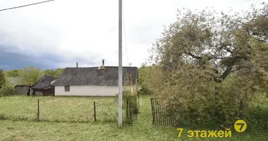 Casa en Drycyn, Belarús
