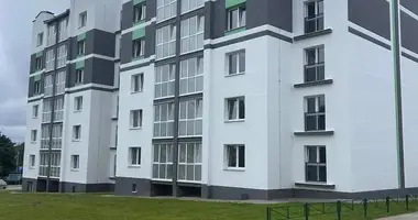 Appartement 1 chambre dans Smaliavitchy, Bélarus